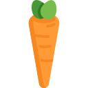 Carrot image