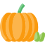 Pumpkin image