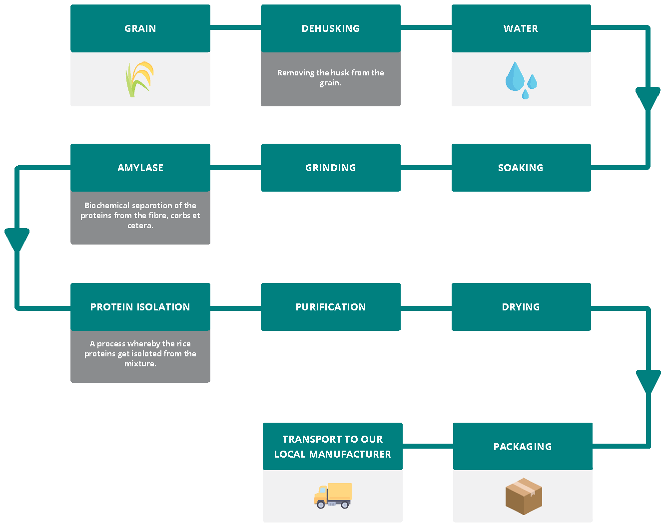 Rice Protein supply-chain flow chart