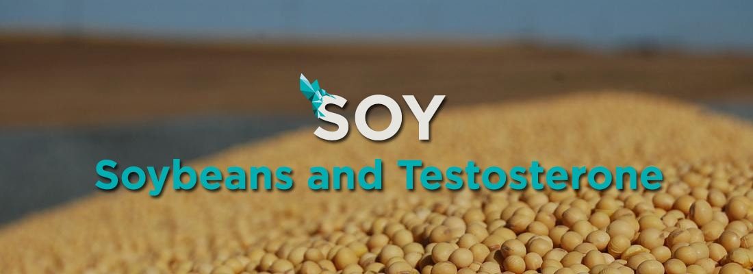 Soy Soybeans Testosterone