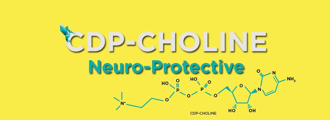 CDP-Choline Blog